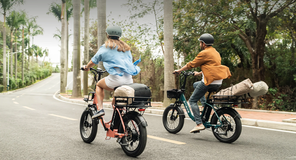The best affordable Ebike winner for 2024: ENGWE L20 2.0