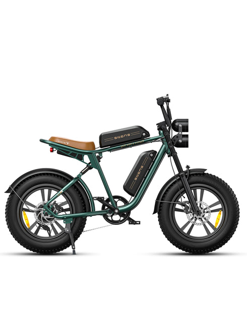 ENGWE M20 Electric Bikes