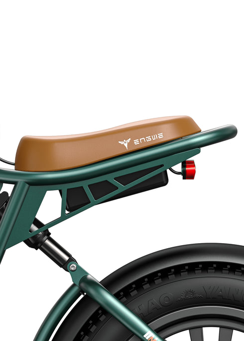 ENGWE M20 Electric Bikes