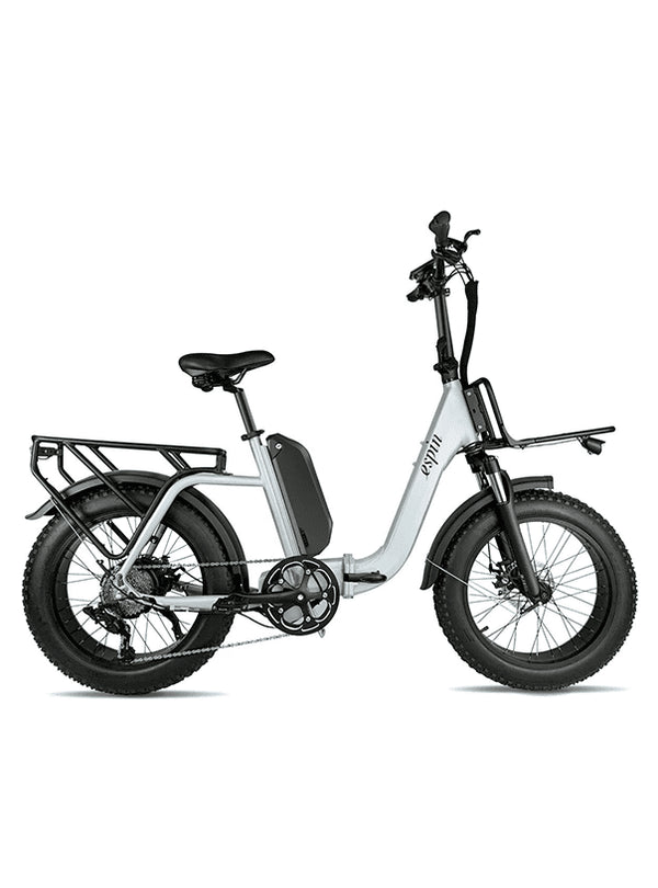 ESPIN NESTA 750W 20" Fat Tire Versatile Foldable E-bike