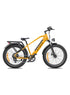 Dual Suspension Fat Tires E-bike