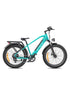 Dual Suspension Fat Tires E-bike