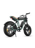 ENGWE M20 Electric Bikes