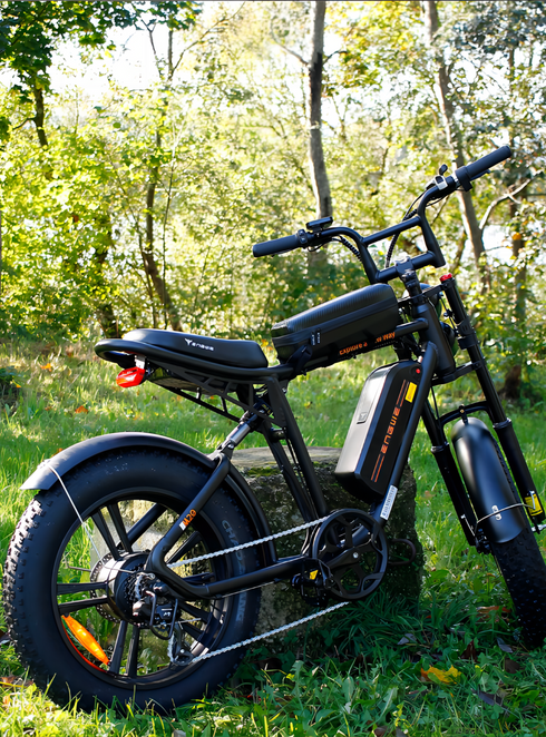 ENGWE M20 Electric Bikes