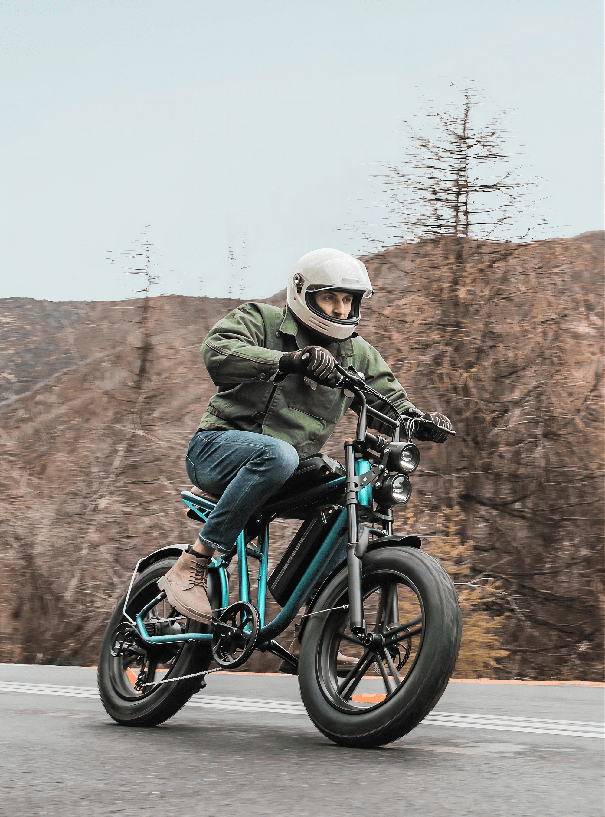 ENGWE M20 Electric Bikes